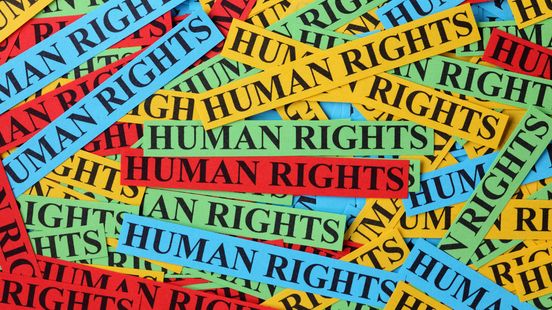FairLens detected racial bias in a recidivism prediction algorithm
