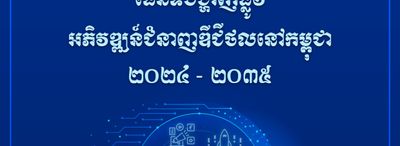 Digital Skill Development Roadmap 2024-2035
