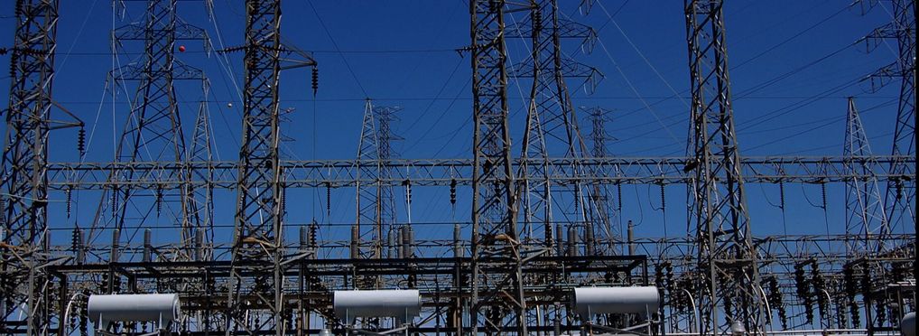 Reporting Carbon Emissions on Open-Source Model Cards
