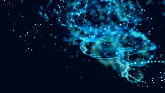 Auditing a City of Vienna AI solution with a trustworthy AI framework