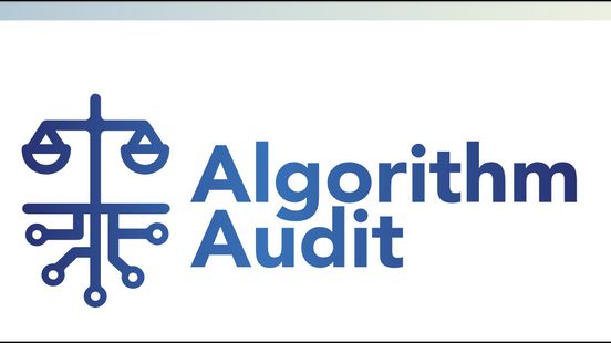 Higher-dimensional bias in a BERT-based disinformation classifier